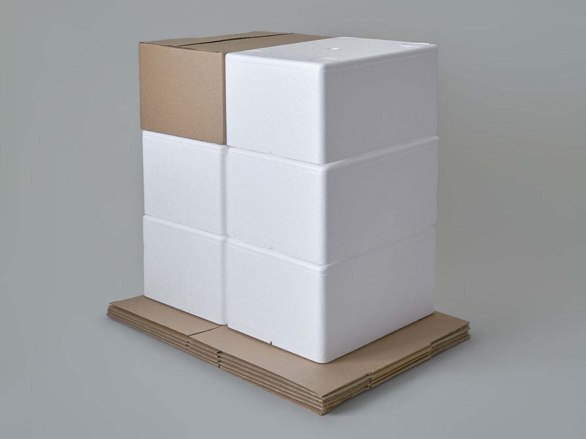 Large Polystyrene Box, 3 kg - PLUS (with cardboard outer)