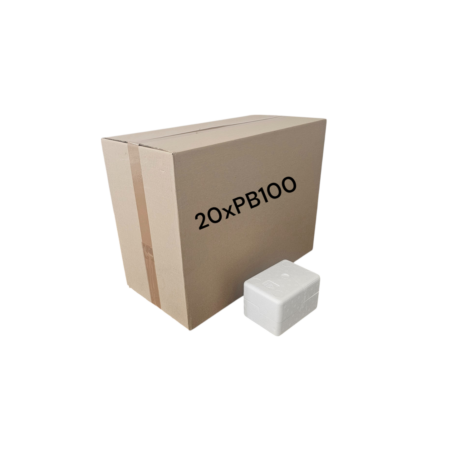 Medium Polystyrene Box, 1 kg Capacity