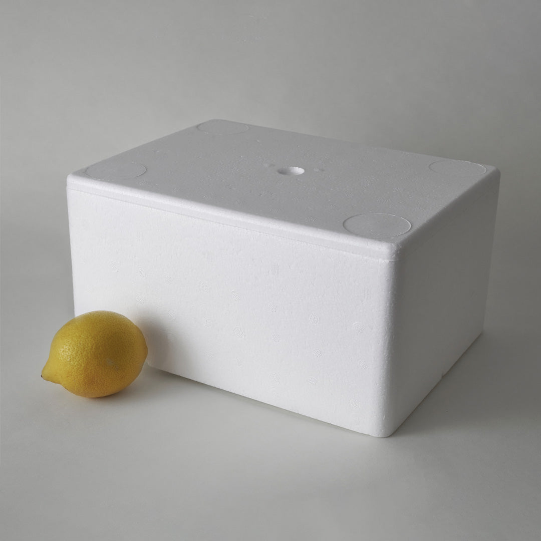Polystyreen Box Large Polystyrene box WITH FILLING, 3 kg Capacity – Poly Boxes