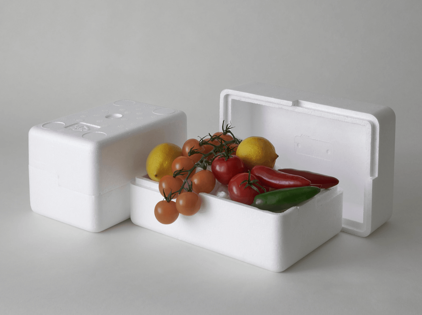 Polystyrene boxes Samples Pack – 2 Sizes