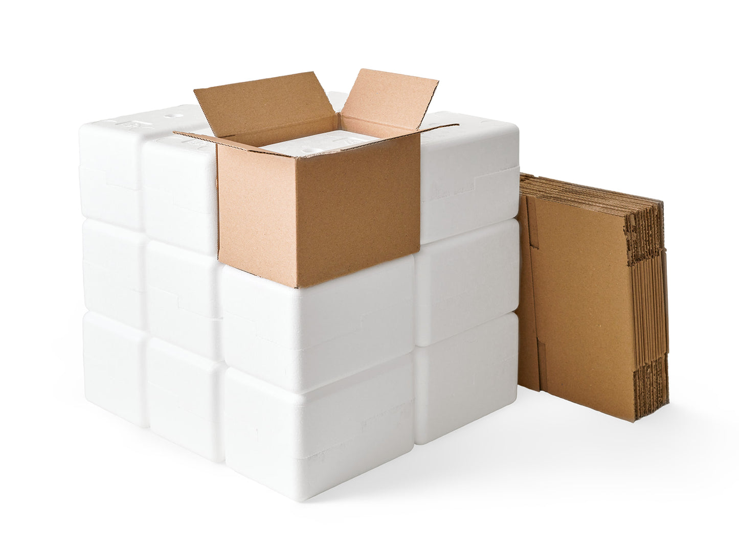 Small Polystyrene Box, 0.5 kg - PLUS (including cardboard outer)
