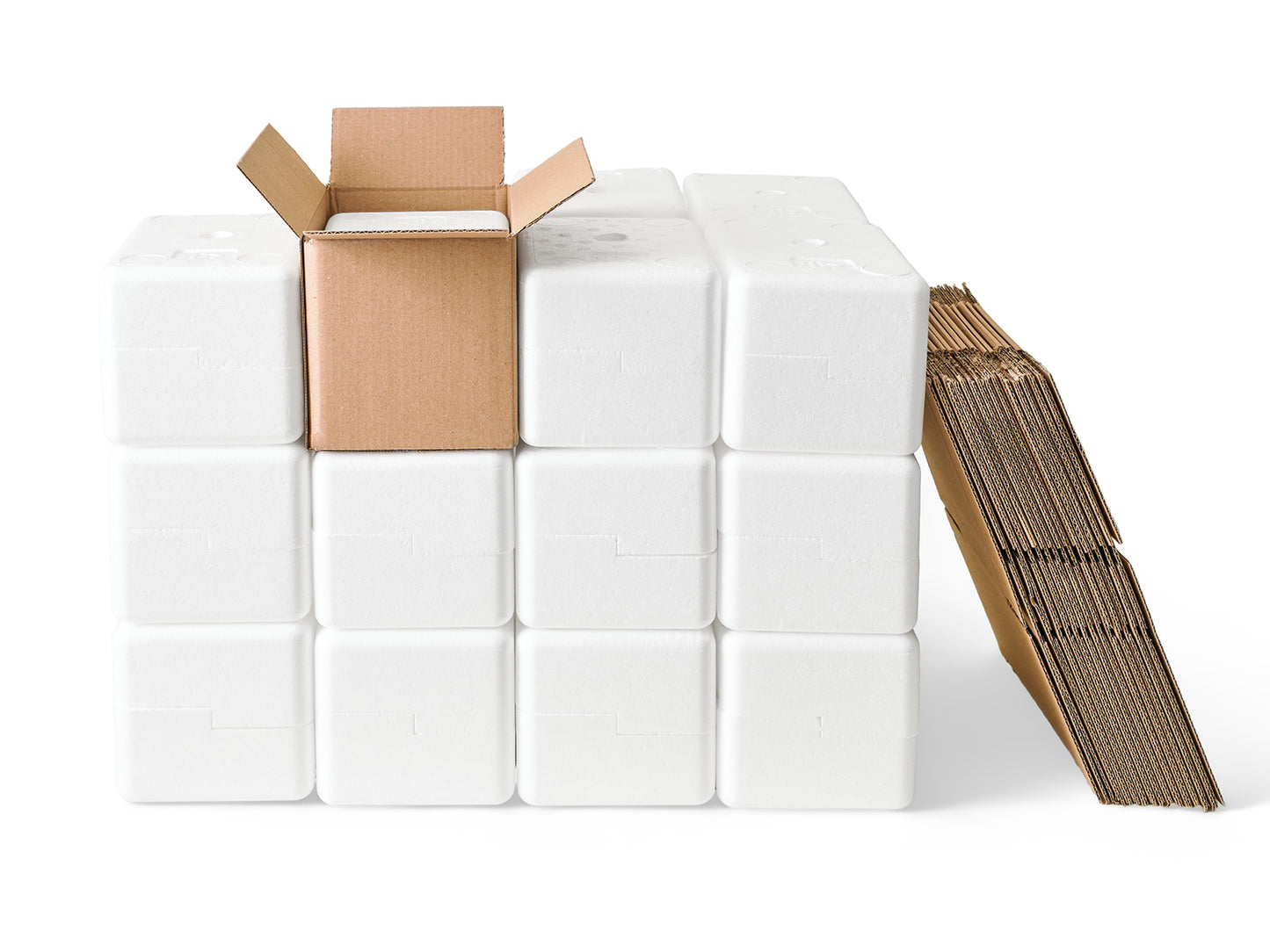 Small Polystyrene Box, 0.5 kg - PLUS (including cardboard outer)