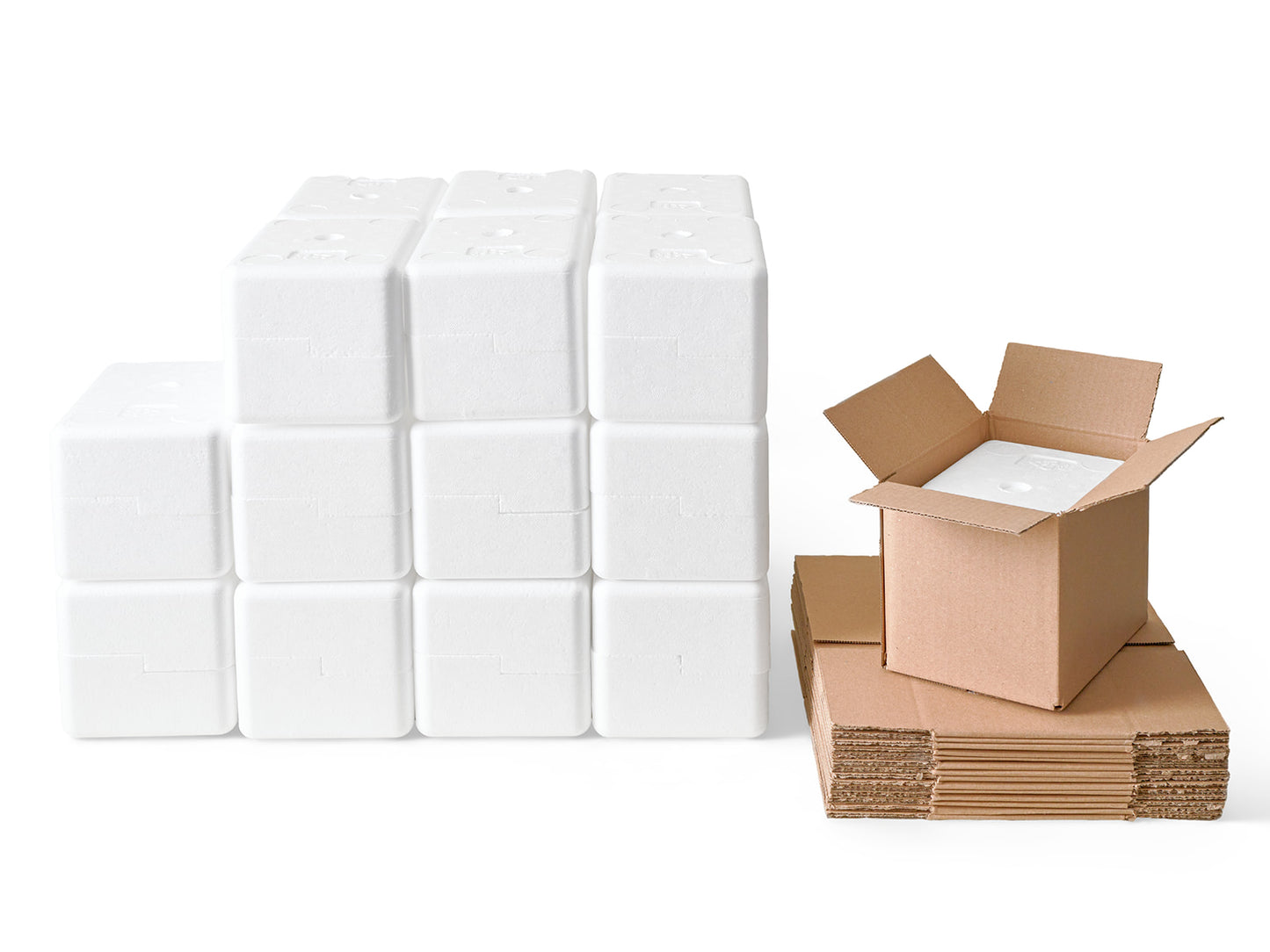 Small Polystyrene Box, 0.5 kg - PLUS (including cardboard outer)