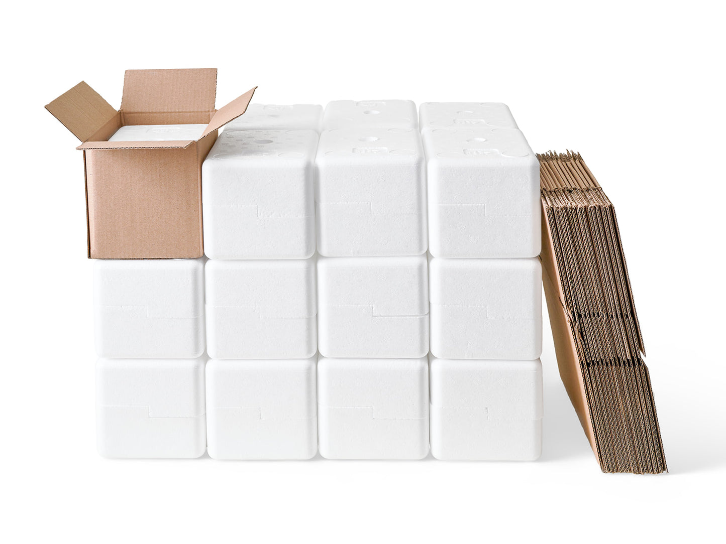 Small Polystyrene Box, 0.5 kg - PLUS (including cardboard outer)