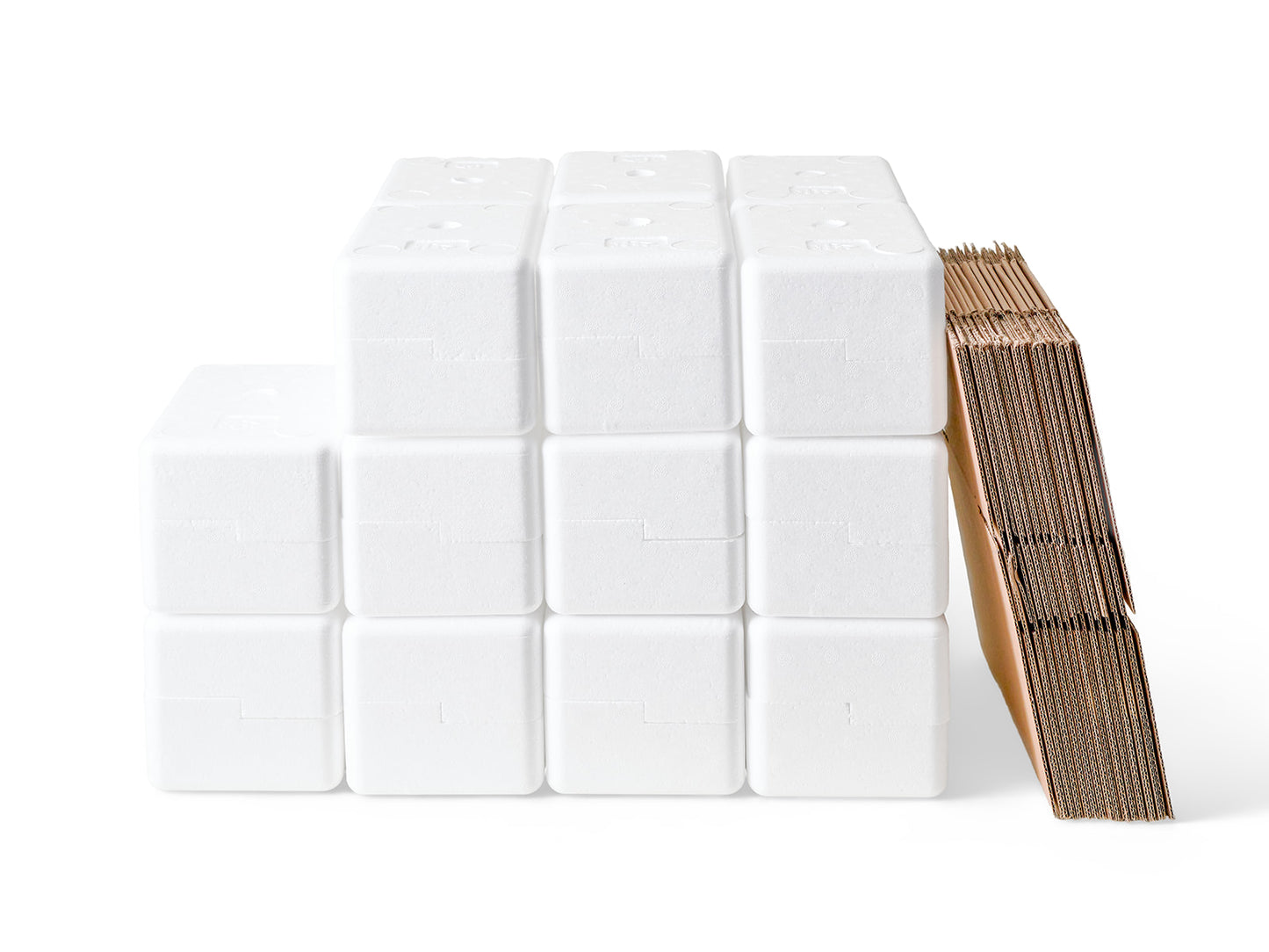 Small Polystyrene Box, 0.5 kg - PLUS (including cardboard outer)