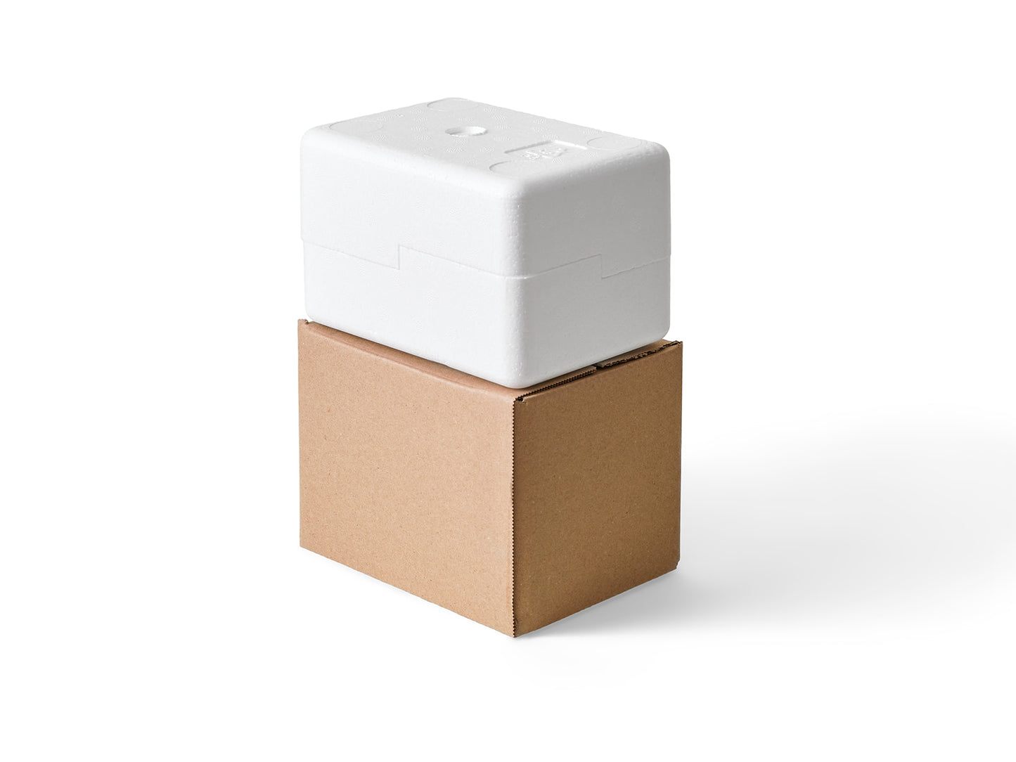 Small Polystyrene Box, 0.5 kg - PLUS (including cardboard outer)