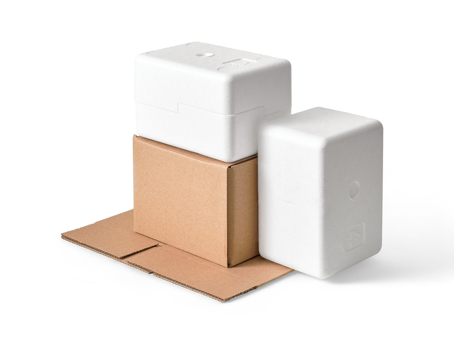 Small Polystyrene Box, 0.5 kg - PLUS (including cardboard outer)