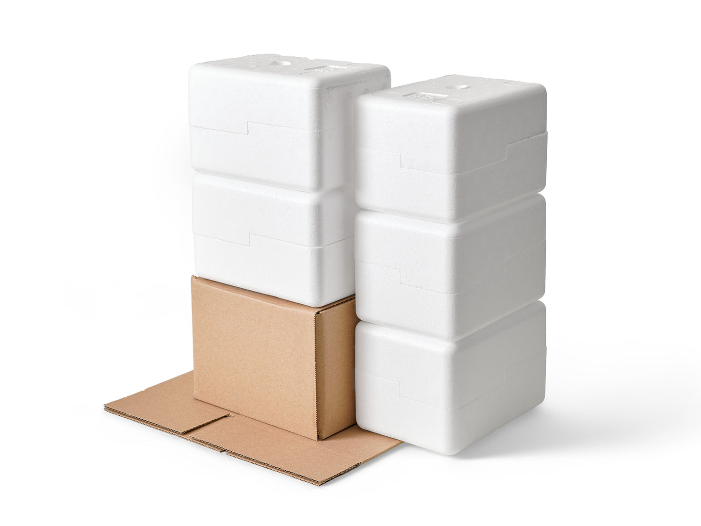 Small Polystyrene Box, 0.5 kg - PLUS (including cardboard outer)
