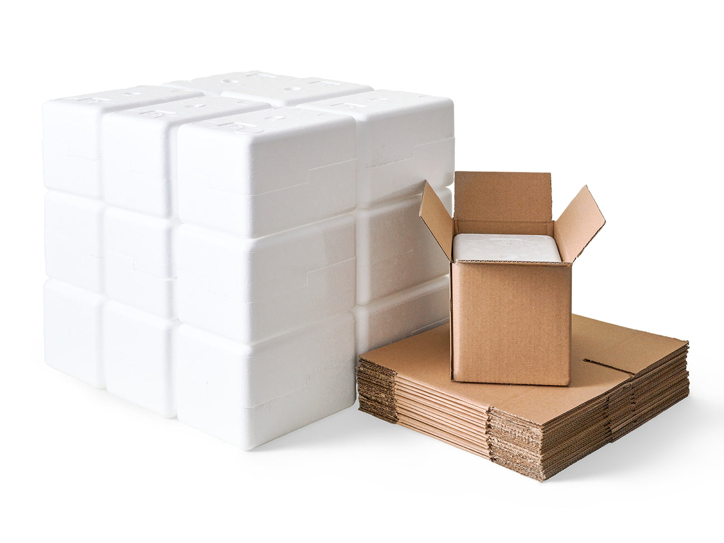 Small Polystyrene Box, 0.5 kg - PLUS (including cardboard outer)