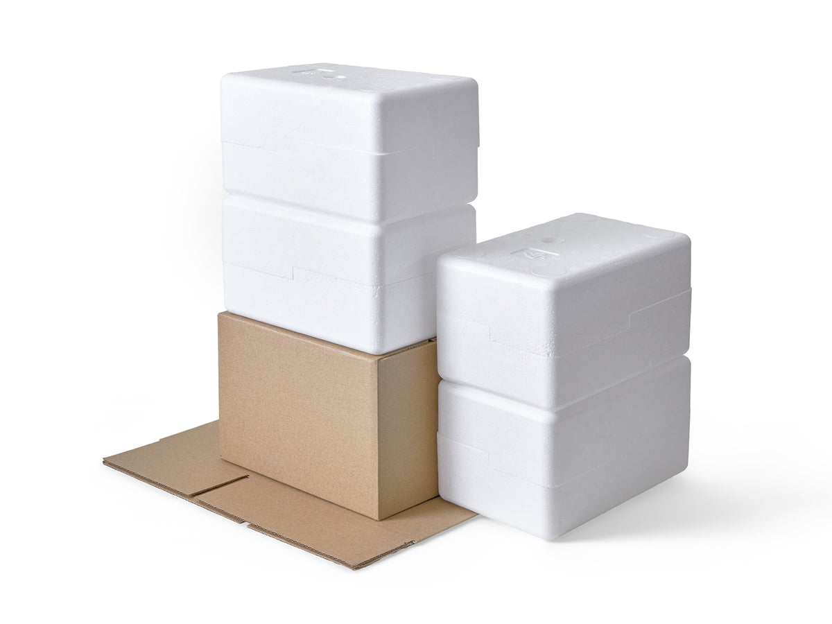 Medium Polystyrene Box, 1 kg - PLUS (with cardboard outer)