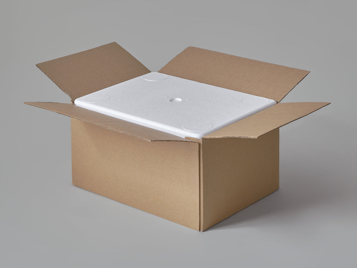 Large Polystyrene Box, 3 kg - PLUS (with cardboard outer)