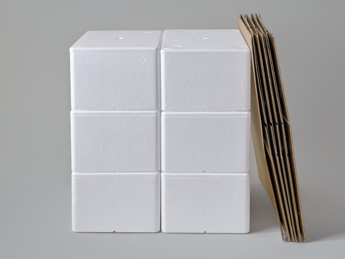 Large Polystyrene Box, 3 kg - PLUS (with cardboard outer)