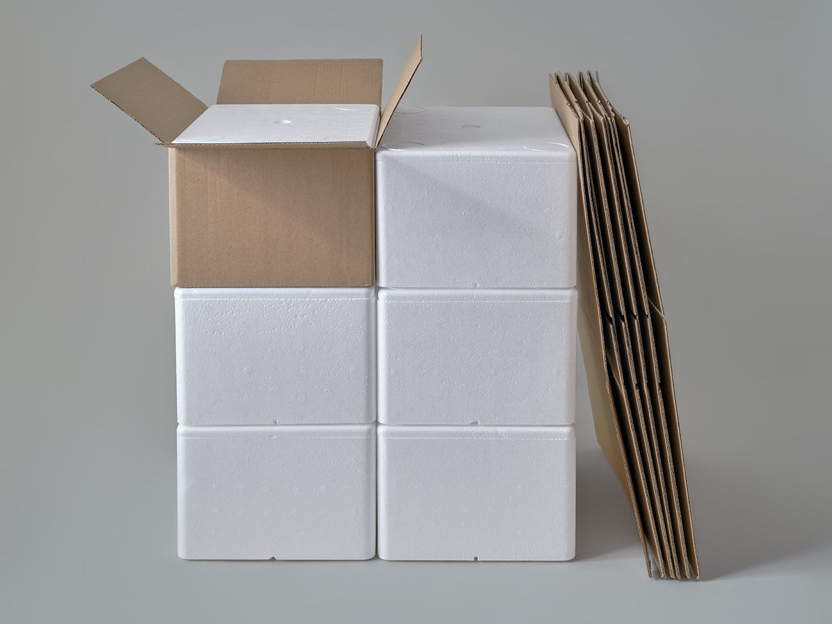 Large Polystyrene Box, 3 kg - PLUS (with cardboard outer)