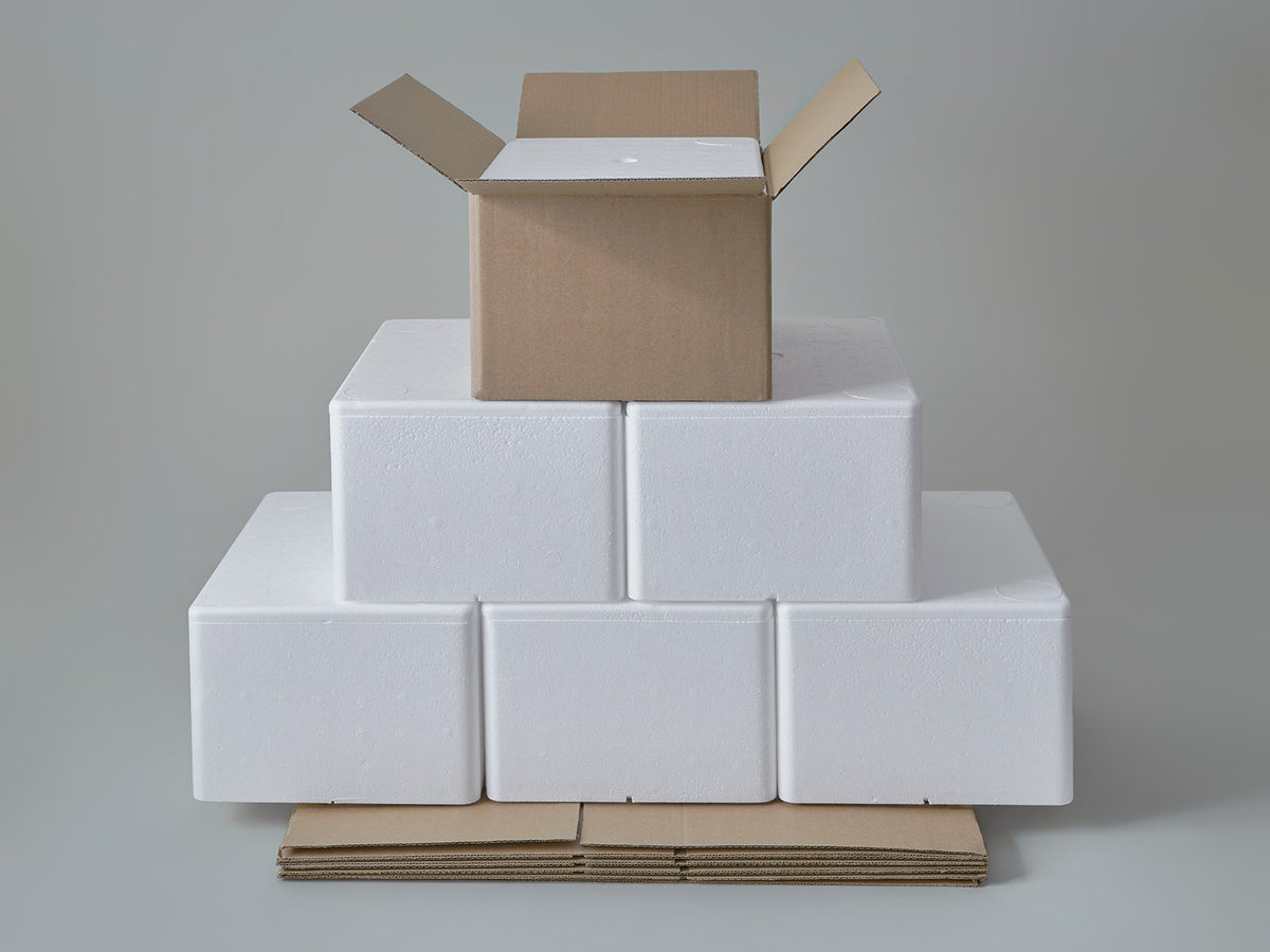 Large Polystyrene Box, 3 kg - PLUS (with cardboard outer)